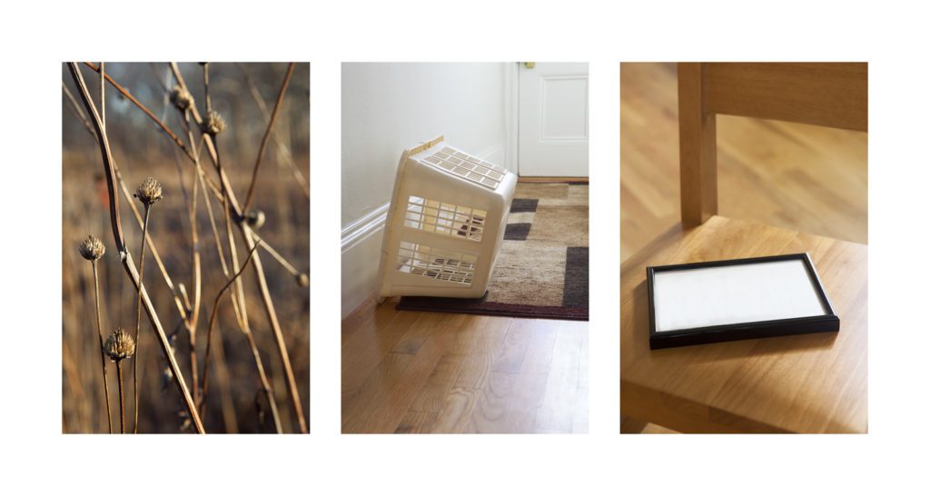 Three photographs in a row, with far left tall reeds in fall, center a plastic laundry basket on its side on a rug of brown box shapes, and an empty small picture frame on a brown chair.