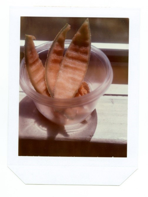 Hazy photograph of a white window sill and a clear bowl with melon rinds.