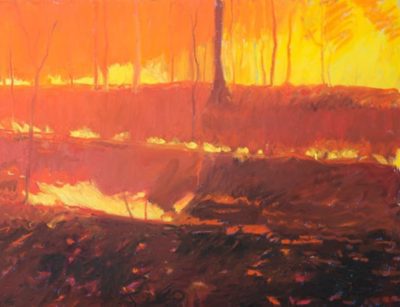 Burning forest landscape with glowing fire in the distance