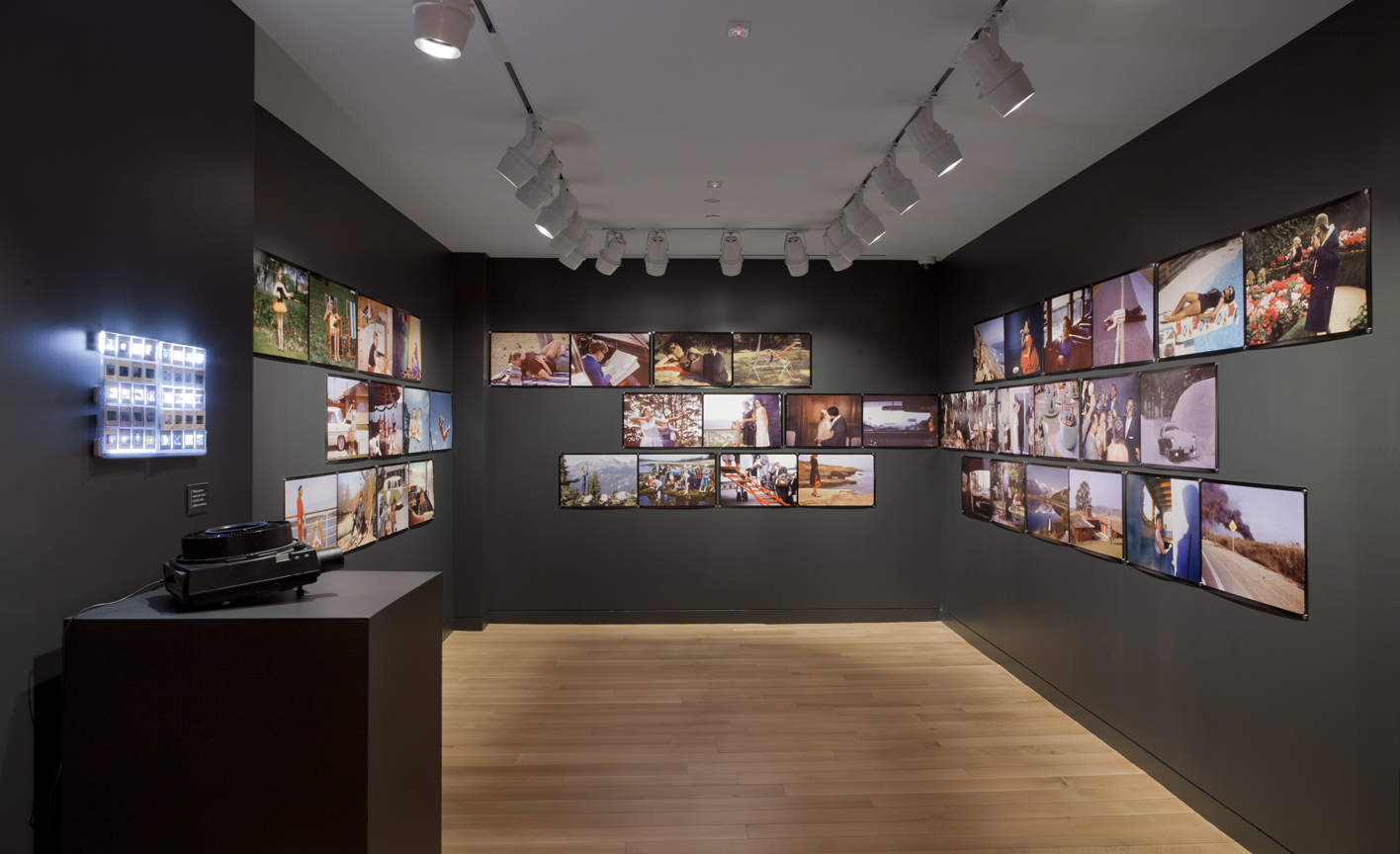 Liz Albert: Family Fictions – Danforth Art Museum and Art School