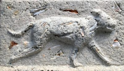 Sculpture in grey-white of a dog running to the right. There are bits of burnt bone visible throughout.