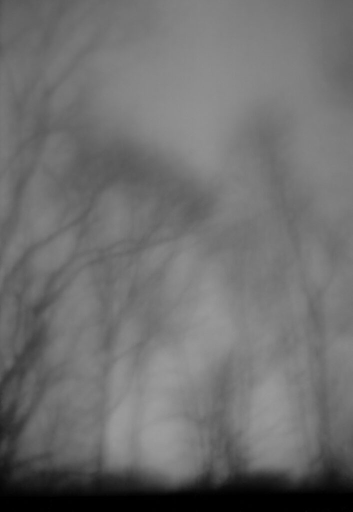 Blurred photograph of a light grey background with strip of black at the bottom. In darker grey are ghostly forms of leafless trees.