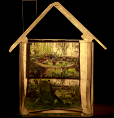 Photograph with a deep black background and a plexi house in the foreground filled with objects. This one is filled with green plants and images of leafy backgrounds.