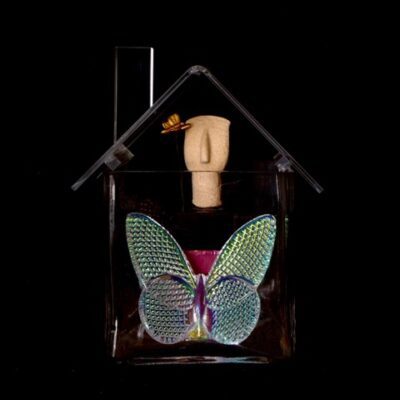 Photograph with a deep black background and a plexi house in the foreground filled with objects. This one is filled with a simple wooden head and a butterfly above a larger butterfly made of patterned glass.