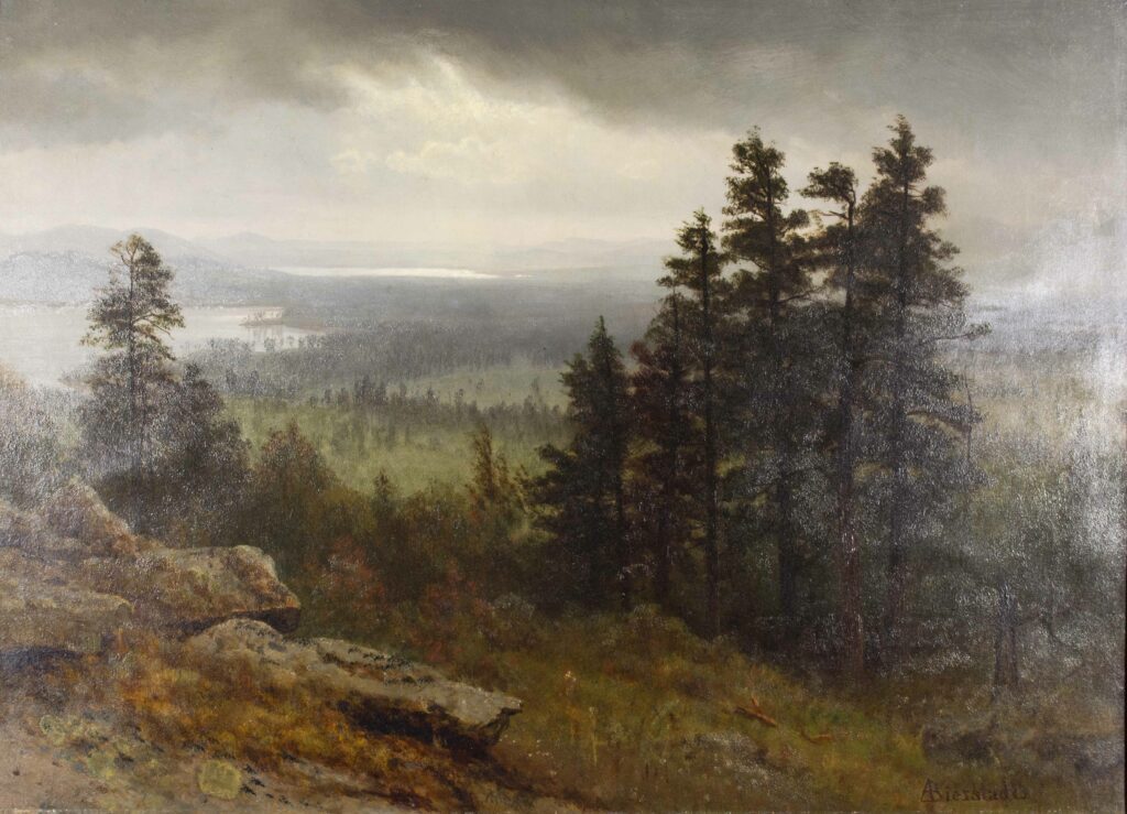 Realistic landscape painting with a stony outcrop on the front left and a slop of red grass to the right. There are pine trees behind this followed by a far off view of fields and trees, two ponds, and rounded mountains with a clouded sky.
