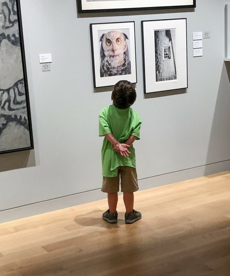 Photograph of a small boy from behind wearing a bright green shirt and hands clasped at his back. He is staring up at a photograph of an owl with a superimposed man's face.