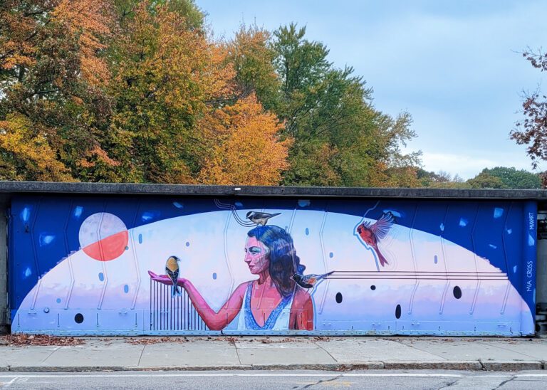 Photograph of a mural on a concrete wall with a blue background and a lighter blue dome in the center with pink and purple clouds. To the top left of the dome is a white and red moon. In the center is a woman with long wavy hair surrounded by four different song birds.