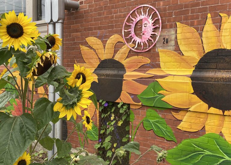 Photograph of a brick building with a sunflower mural painted on the lower part, behind a mulched garden with sunflowers.