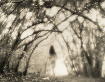 Hazy black and white photograph with leaning in trees creating a rough path. In the path is a woman walking away, with long black hair.