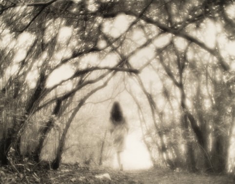 Hazy black and white photograph with leaning in trees creating a rough path. In the path is a woman walking away, with long black hair.