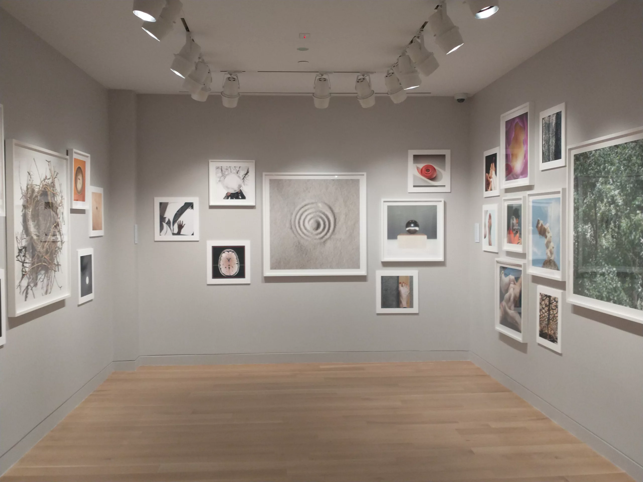 Photograph of a gallery installation with light grey walls. There are various photographs framed in white, all square shaped, hung in no particular order.