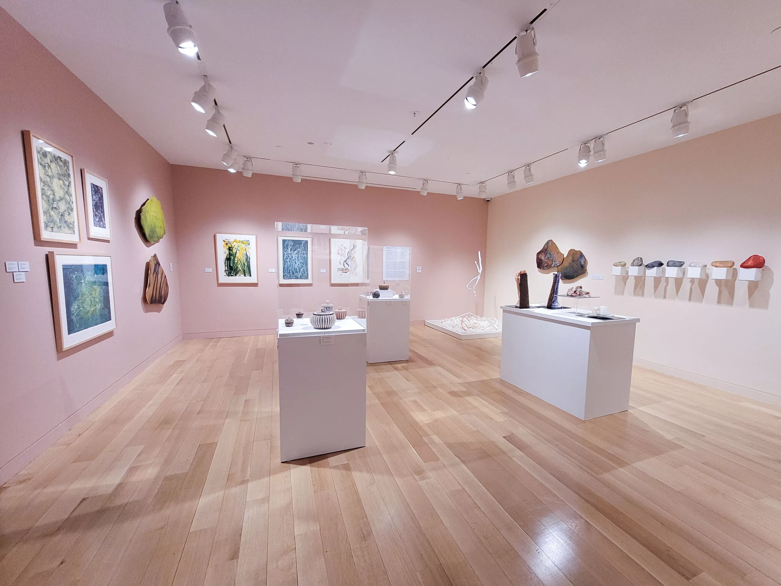 Photo of a gallery installation with peach and tan walls. There is artwork hanging on each wall, and three pedestals in the center holding artwork.