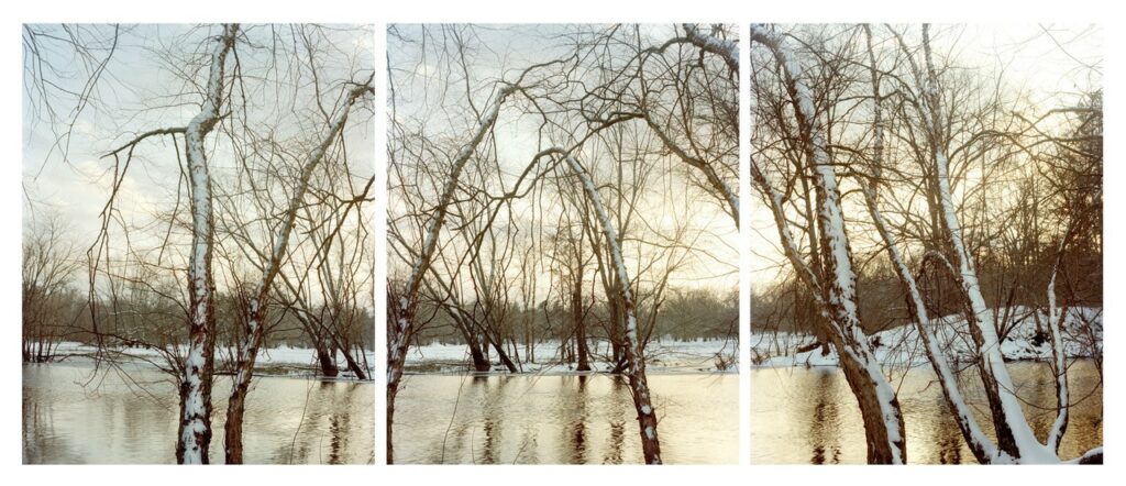 Three photographs of a winter landscape with leafless trees and a body of water behind them.