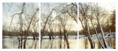 Three photographs of a winter landscape with leafless trees and a body of water behind them.