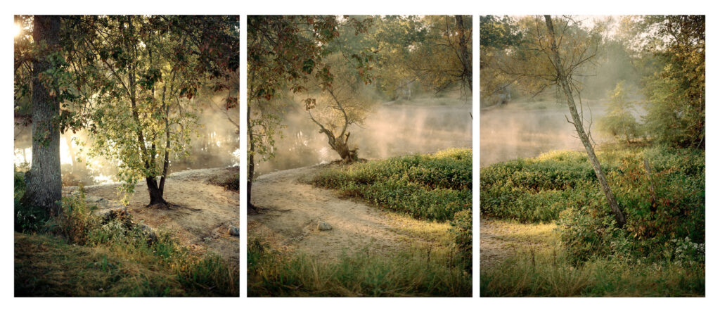 Three photographs of a hazy morning with trees to the far left and right, and a body of steamy water in the background.